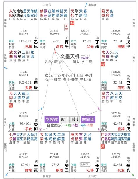 阳女金四局|掌握紫微斗数基本功，让您看命盘时会截然不同的理。